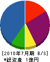 茂川建設 貸借対照表 2010年7月期