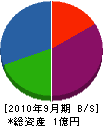 藤本電気商会 貸借対照表 2010年9月期