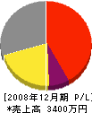 伊駒組 損益計算書 2008年12月期