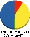 千葉ノーミ 貸借対照表 2010年3月期