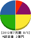 軽井沢産業 貸借対照表 2012年7月期