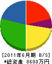 保田ガラス店 貸借対照表 2011年6月期