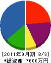 大嶋電機工業 貸借対照表 2011年9月期