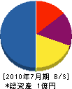 佐藤電気商会 貸借対照表 2010年7月期
