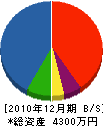 丸貞工務 貸借対照表 2010年12月期