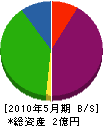 武藤組 貸借対照表 2010年5月期