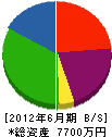 佐々木工務店 貸借対照表 2012年6月期