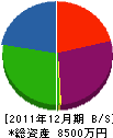 新川 貸借対照表 2011年12月期