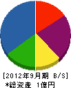 千葉ライナー 貸借対照表 2012年9月期