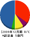 森本組 貸借対照表 2009年12月期