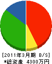 幸田工務店 貸借対照表 2011年3月期