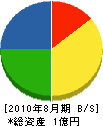 奄美土木 貸借対照表 2010年8月期