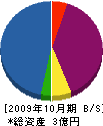 築 貸借対照表 2009年10月期