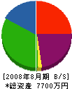 石工事田村組 貸借対照表 2008年8月期