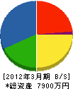 東京インテルナトーヨー住器 貸借対照表 2012年3月期