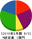 野田サクセン 貸借対照表 2010年8月期