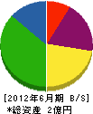 ジャパンシステム 貸借対照表 2012年6月期