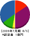 植田組 貸借対照表 2009年7月期