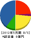 沖縄小堀電機 貸借対照表 2012年5月期