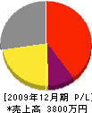 秋田建装 損益計算書 2009年12月期
