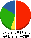 武井工業所 貸借対照表 2010年12月期