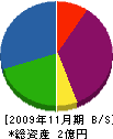 磯井実業 貸借対照表 2009年11月期
