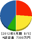 東洋興産 貸借対照表 2012年8月期