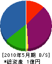 菅原電工 貸借対照表 2010年5月期