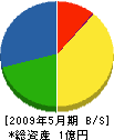 平井工業 貸借対照表 2009年5月期