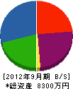青山電気 貸借対照表 2012年9月期