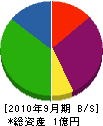 新潟ライン 貸借対照表 2010年9月期