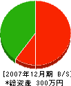 インテリアナカハタ 貸借対照表 2007年12月期