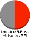 横田技建 損益計算書 2009年12月期