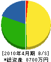 入沢工務店 貸借対照表 2010年4月期