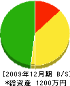 坂本建設 貸借対照表 2009年12月期