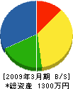 原山電気商会 貸借対照表 2009年3月期
