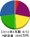 嘉川建設 貸借対照表 2012年6月期