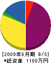豊島建設 貸借対照表 2009年6月期