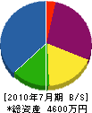 インテリア小笠原 貸借対照表 2010年7月期