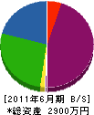丸五鉄平 貸借対照表 2011年6月期