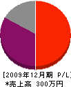 杉田設備工業 損益計算書 2009年12月期