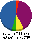 川崎建設 貸借対照表 2012年6月期