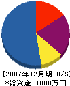 長谷川左官 貸借対照表 2007年12月期