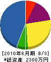 井上電気工務店 貸借対照表 2010年6月期