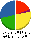 ニシムラ 貸借対照表 2010年12月期