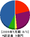 タケダ工業 貸借対照表 2009年5月期