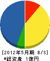 川上組 貸借対照表 2012年5月期