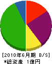 斎藤建設工業 貸借対照表 2010年6月期