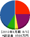 榊原工業 貸借対照表 2012年6月期
