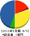 かきぬま工務店 貸借対照表 2012年5月期